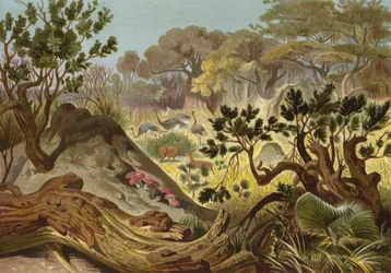 Termietenheuvel in Sennar